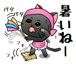 Sticker of an expressive cat2 in Summer sticker #6936099