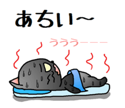 Sticker of an expressive cat2 in Summer sticker #6936103