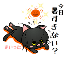 Sticker of an expressive cat2 in Summer sticker #6936104