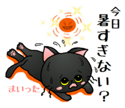 Sticker of an expressive cat2 in Summer sticker #6936104