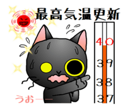 Sticker of an expressive cat2 in Summer sticker #6936105