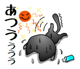 Sticker of an expressive cat2 in Summer sticker #6936107