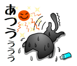 Sticker of an expressive cat2 in Summer sticker #6936107