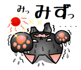 Sticker of an expressive cat2 in Summer sticker #6936109