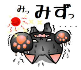 Sticker of an expressive cat2 in Summer sticker #6936109