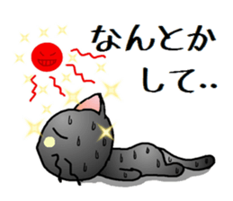 Sticker of an expressive cat2 in Summer sticker #6936110