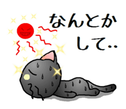 Sticker of an expressive cat2 in Summer sticker #6936110