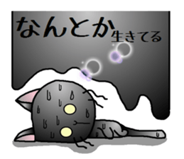 Sticker of an expressive cat2 in Summer sticker #6936111