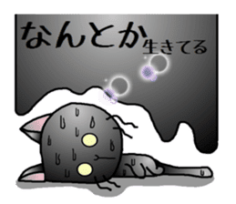 Sticker of an expressive cat2 in Summer sticker #6936111