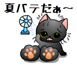 Sticker of an expressive cat2 in Summer sticker #6936114