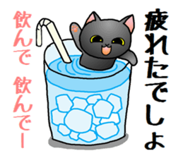 Sticker of an expressive cat2 in Summer sticker #6936118