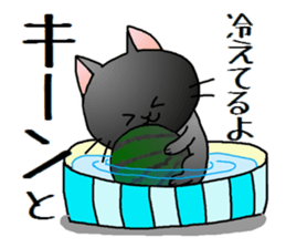 Sticker of an expressive cat2 in Summer sticker #6936120