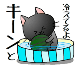 Sticker of an expressive cat2 in Summer sticker #6936120