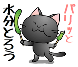 Sticker of an expressive cat2 in Summer sticker #6936122