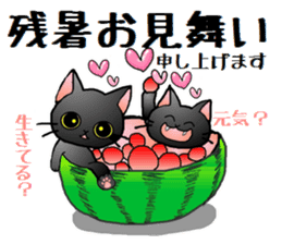 Sticker of an expressive cat2 in Summer sticker #6936129