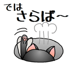 Sticker of an expressive cat2 in Summer sticker #6936132