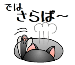 Sticker of an expressive cat2 in Summer sticker #6936132