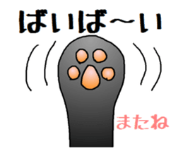 Sticker of an expressive cat2 in Summer sticker #6936133