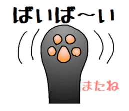 Sticker of an expressive cat2 in Summer sticker #6936133