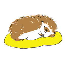 busakawa Hedgehog sticker #6936413
