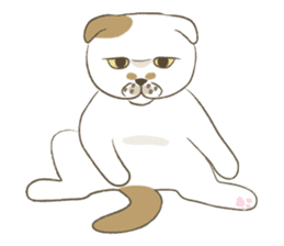 The daily life done freely of funny cat sticker #6937745