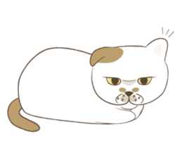 The daily life done freely of funny cat sticker #6937763
