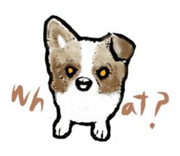 -Chihuahuas- sticker #6937856
