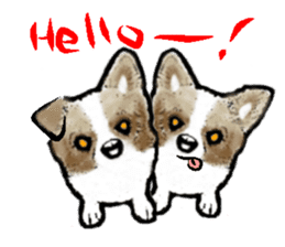 -Chihuahuas- sticker #6937859