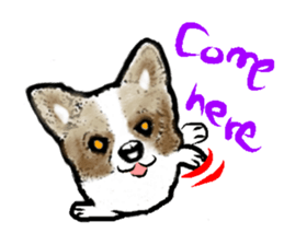 -Chihuahuas- sticker #6937862