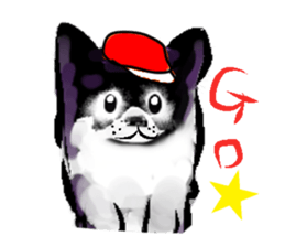 -Chihuahuas- sticker #6937864