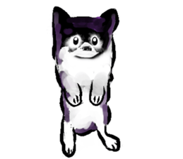 -Chihuahuas- sticker #6937865
