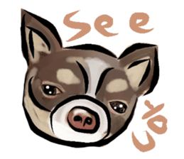 -Chihuahuas- sticker #6937878