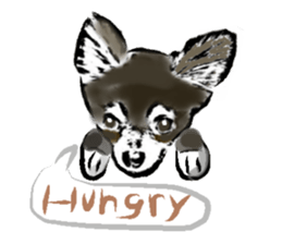 -Chihuahuas- sticker #6937888