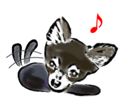 -Chihuahuas- sticker #6937889