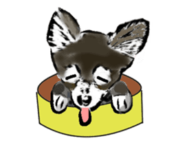 -Chihuahuas- sticker #6937890