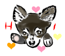 -Chihuahuas- sticker #6937891