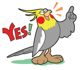 Funny Cockatiel_Normal Color sticker #6938216