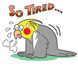Funny Cockatiel_Normal Color sticker #6938226