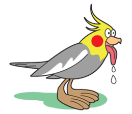 Funny Cockatiel_Normal Color sticker #6938234