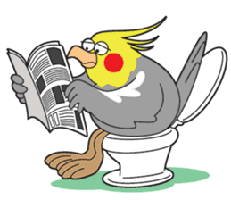 Funny Cockatiel_Normal Color sticker #6938235