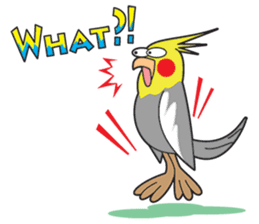 Funny Cockatiel_Normal Color sticker #6938236