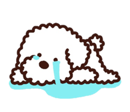 Toypoodle loafs around at home sticker #6938540