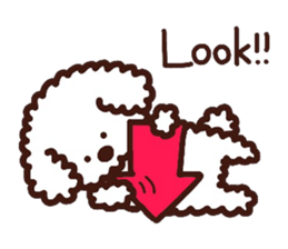 Toypoodle loafs around at home sticker #6938541