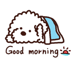 Toypoodle loafs around at home sticker #6938545