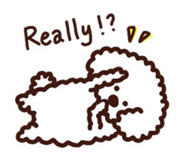 Toypoodle loafs around at home sticker #6938548