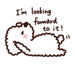 Toypoodle loafs around at home sticker #6938550
