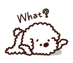 Toypoodle loafs around at home sticker #6938555