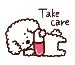 Toypoodle loafs around at home sticker #6938560