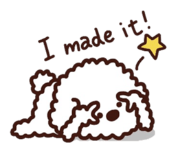 Toypoodle loafs around at home sticker #6938568