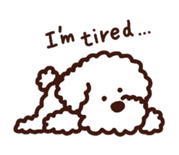 Toypoodle loafs around at home sticker #6938572
